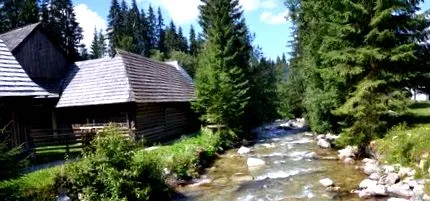 științelor