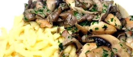 principalele ragout