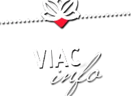 catering fără