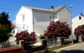 biograd