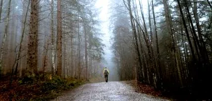 împotriva