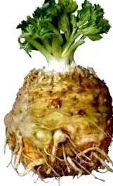целер