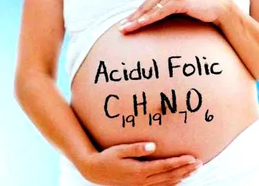 folsav folsav