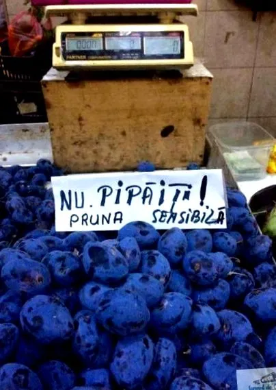 craiova vicces