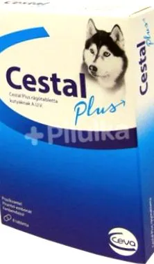 pentru pentru