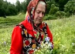 ierburile atunci când