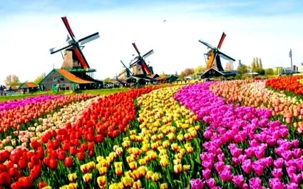 belgia