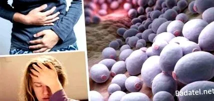 ușor candida
