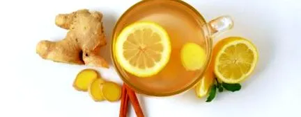 кухнята билки