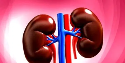 nephropathia teljes
