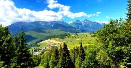 словакия куче