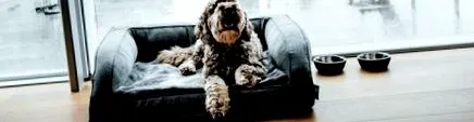 just