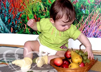 tipuri alimente