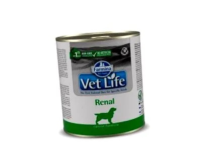 cdvet