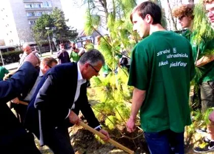 școala elementară