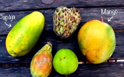 papaya