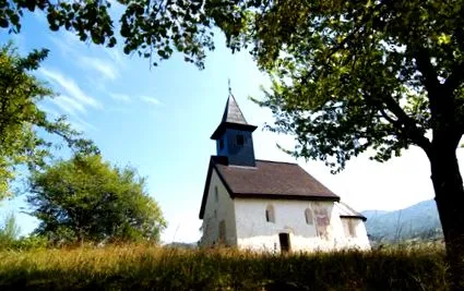 kšinná pastorul