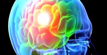 Adresa Neurologická Adresa Neurologická