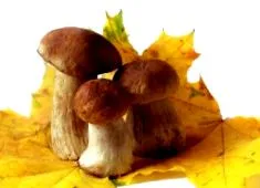 rețete