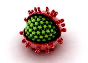 fapt hepatita