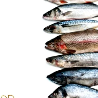easydiet