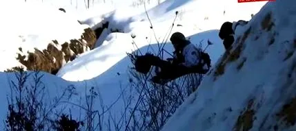 fruntea givi