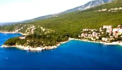 dans mare