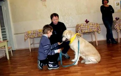 kalyna războiul