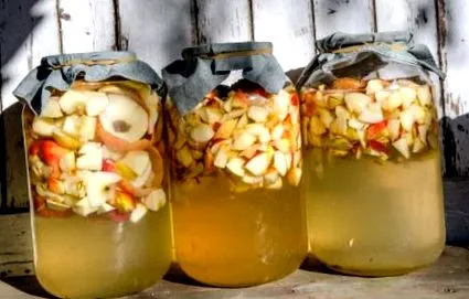 oțet mere mere