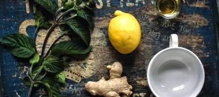DETOX TOAMNĂ