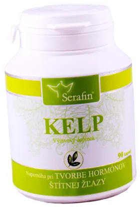 sursă kelp