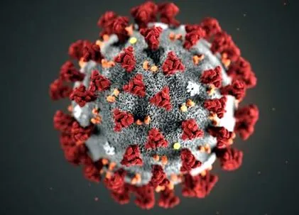coronavirus
