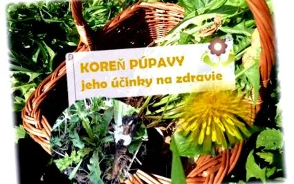 rădăcină efectele