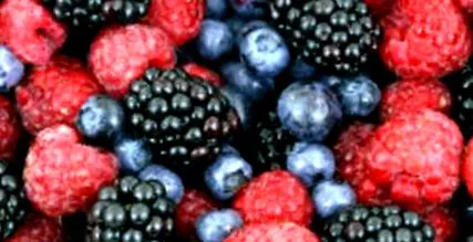 miez fructe