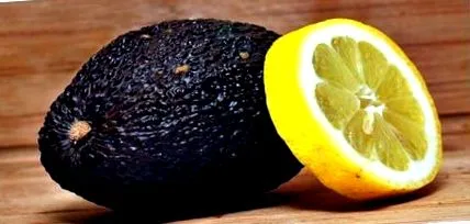 dietă deoarece