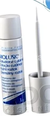 molusk molusk