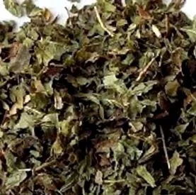 medissa officinalis