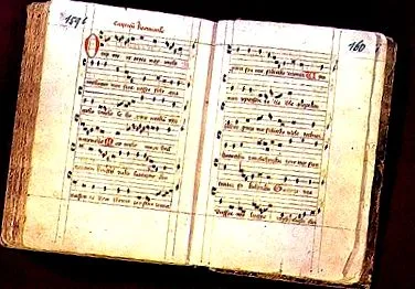 muzicii muzicii