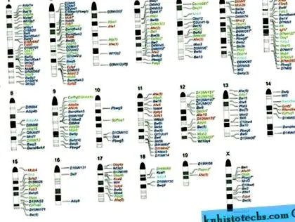 metaanaliza loci