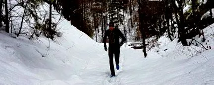 modelului