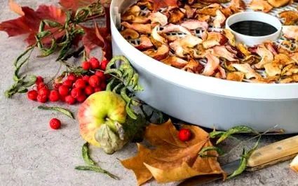 fructe legume uscătoare