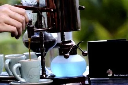 cafea noua