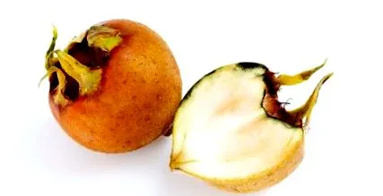 fruct care