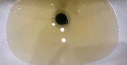 satul levíce
