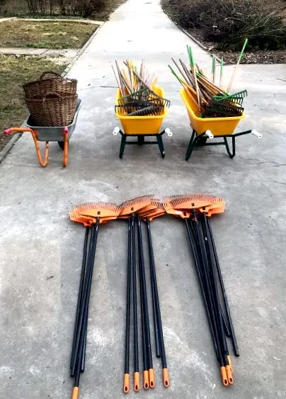 botanikus