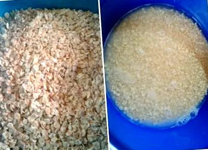 mere pald-oat