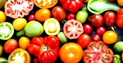 fructe