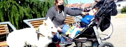 családban rendkívüli