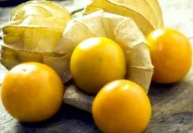 sănătății physalis