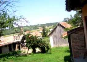 juca grădină